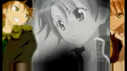Cursed Love - Shugo Chara!