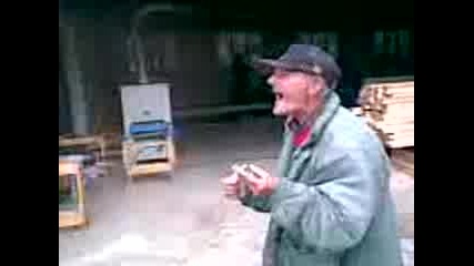 Maistori