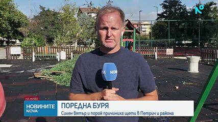 „За секунди стана като ураган“: Бурята повали дървета и блокира пътища край Петрич