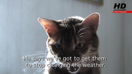 Котки срещу глобалното затопляне - marioni95 Hd 