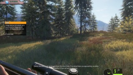 The Hunter: Call of the Wild