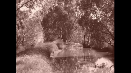 Hope Sandoval - Butterfly Mornings 