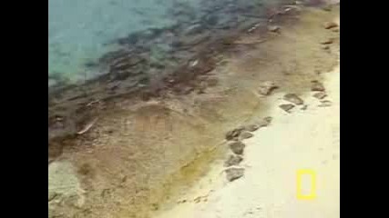 Smooth Jazz - Ramsey Lewis - Solar Island