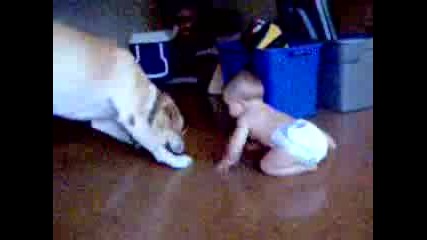 Бебе И Куче Споделят Една Играчка