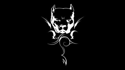 Pitbull feat Fatman Scoop - Talk To Me