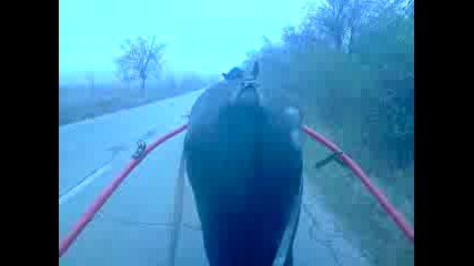 V201112_12.25