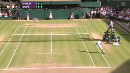 Nadal vs Murray Wimbledon 2010 Sf Highlights 