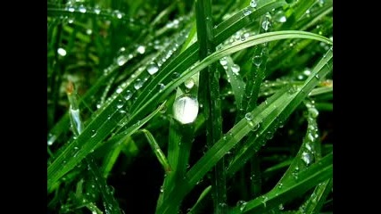Robert Miles - Rain 