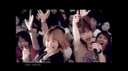 Cherry Blossom - Dive To World (katekyo Hitman Reborn! Opening 3)