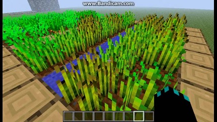 Minecraft-тъпи капани епизод 1