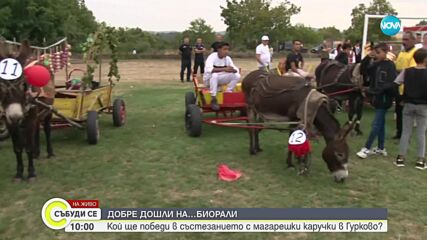 Биорали с магарешки каручки в Гурково