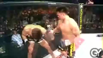 Humans by Gy - Ref Cam Mma Hl 