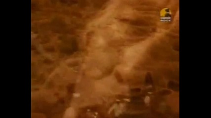The Doors ~ Riders On The Storm 