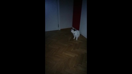 Vid_20150131_185432