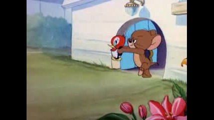 Том и Джери