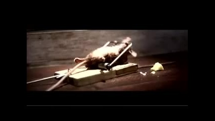 Силната мишка! - Забавна реклама