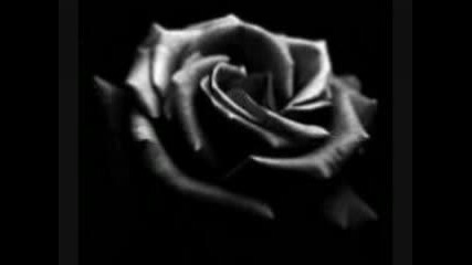 The Rasmus - Ghost Of Love
