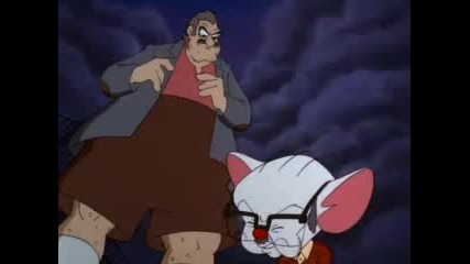 Pinky and the Brain,ep. 30