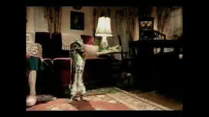 Луда Котка (смях)