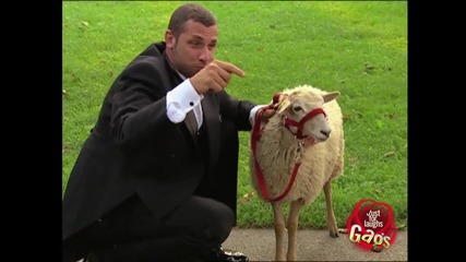 Just For Laughs - Best Wedding Pranks (hd)