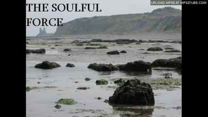 The Soulful Force - The Snake