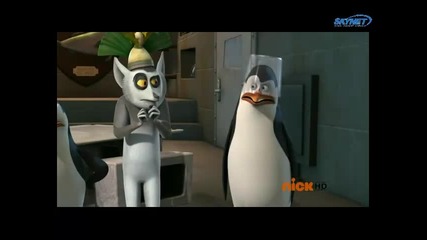 The Penguins Of Madagascar Out of the Groove 