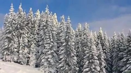 Най-новите вериги за сняг от Pewag Snox