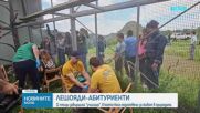 11 млади египетски лешояда завършиха „училище за лешояди“ край Кърджали