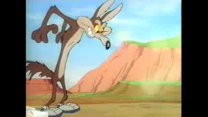 Road Runner - 01 - Fast And Furryous