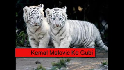 Kemal Malovic - Ko Gubi