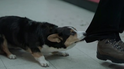 Swedish House Mafia - Save The World (official Music Video)