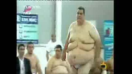 Най - големите 4