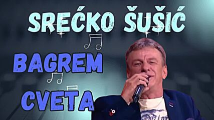 Srecko Susic - Bagrem Cveta.mp4