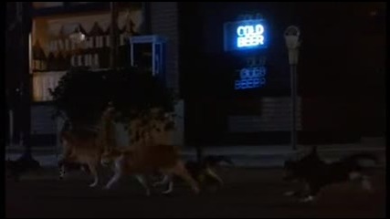 Сомнамбули (1992)
