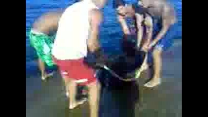 Plaki V Nesebar 4
