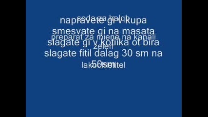 dimka cvvetna