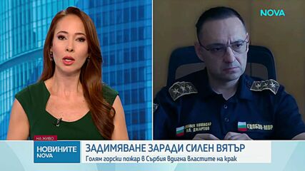 Части от Западна България са задимени заради огромен пожар в Сърбия, активираха BG-Alert