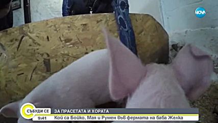 Баба кръщава животните си на български политици