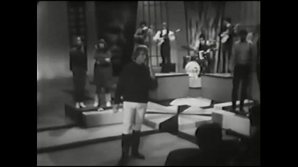 Barry Mcguire - Hang On Sloopy (1965)
