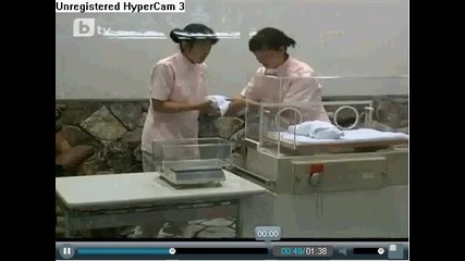 Новородени панди направиха своя дебют пред медиите