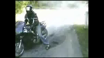 Honda Cbr 1000 Burnout