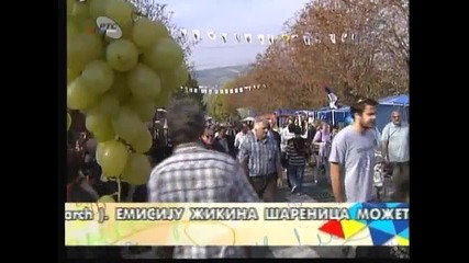 Vera Nesic - Zelela bih da te zaboravim, volim te sve vise 2009 (uzivo)