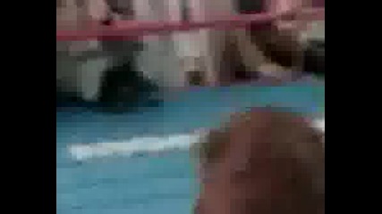 Mike Tyson Vs Francois Botha - Final Punch
