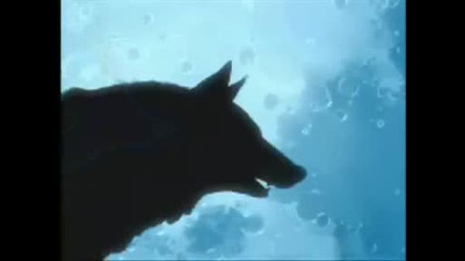 Wolfs Rain Episode 11 Part 2 - English