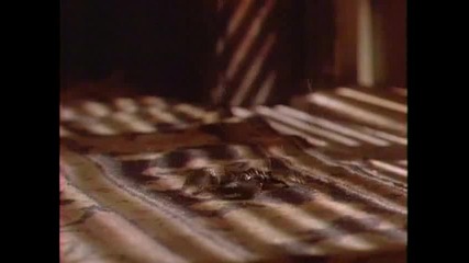 Scorpions - Im Leaving You