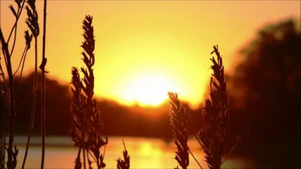 nexow & Exal - Chasing Happiness