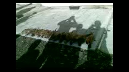 Lovni momenti