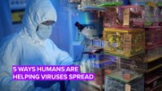 5 начина, по които хората помагат на вирусите да се разпространяват