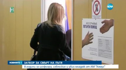 8 години затвор за шофьора, изблъскал и убил младеж от АМ "Хемус"