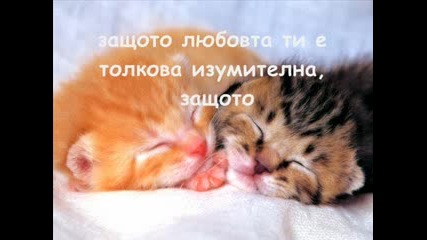I Turn To You